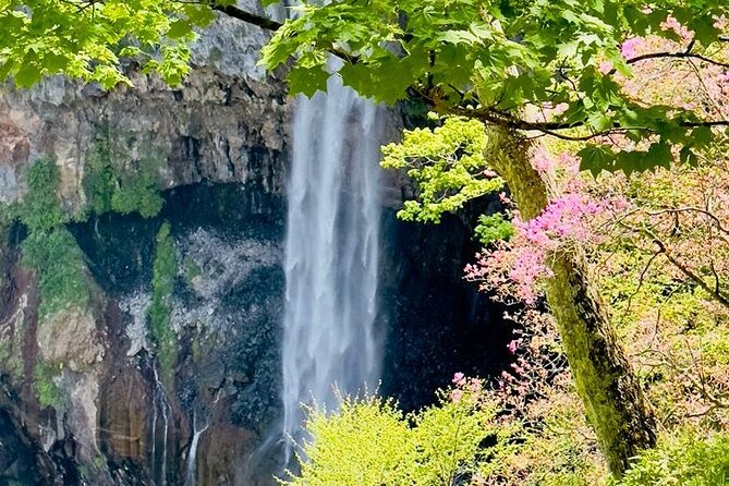 Full-Day Private Nikko Tour in Tokyo With English Speaking Driver - The Sum Up