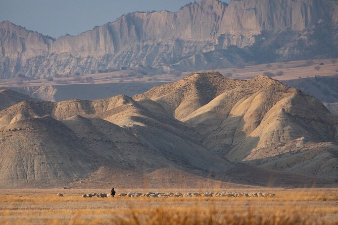 Full-Day Private Wilderness Tour in Vashlovani National Park - Operating Hours