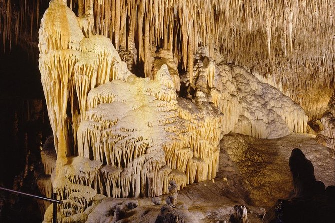 Full Day Tour to the Caves of Drach and Caves of Hams in Mallorca - Price and Booking Information