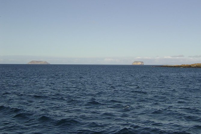 Galapagos Islands Airport Departure Transfer - Whats Included in the Transfer