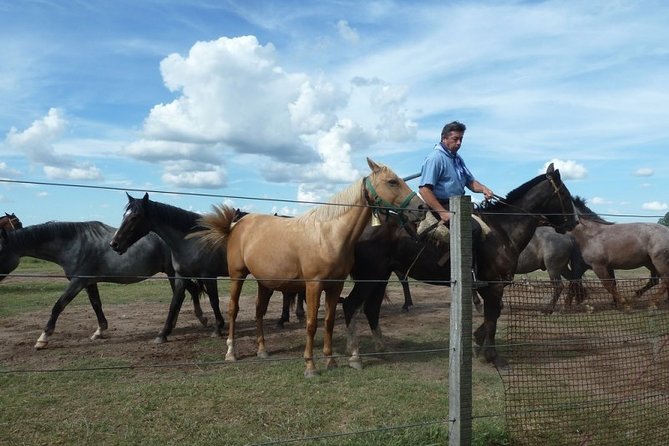 Gaucho Party at the Ranch - Day Ranch Gaucho Barbecue - Frequently Asked Questions