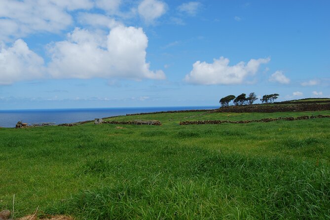 Geology Private Full Day Tour - Pricing and Booking