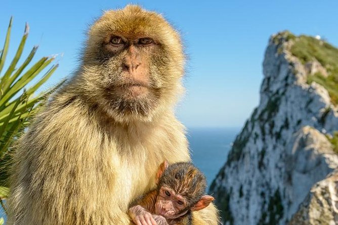 Gibraltar Inside Out Standard Tour 1.45hrs - Additional Tour Info