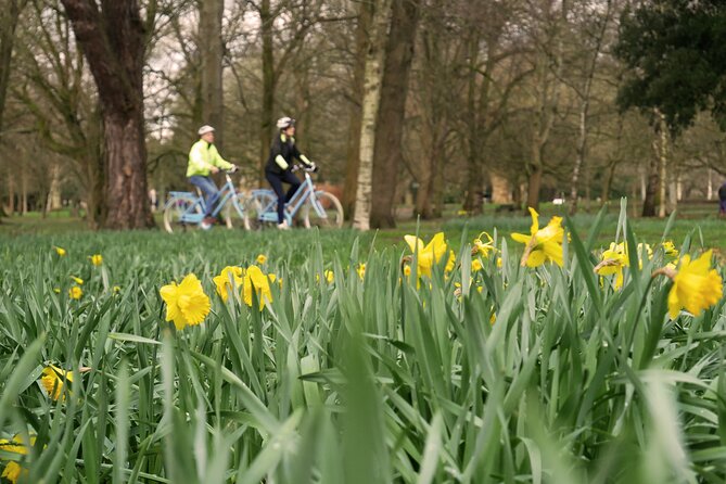 Guided Cycle Tours of Cardiff - Reviews and Testimonials