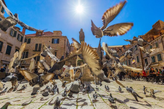 Guided Tour to Discover Dubrovniks Old Town, by Day or Night - Meeting and Pickup Details
