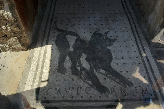 Guided Tours of Pompeii Excavations Historical and Cultural Itineraries - Meeting Point Details