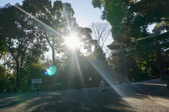 Harajuku From Meiji Shrine to Shibuya Crossing 2 Hours - Experience Yoyogi Park Vibe