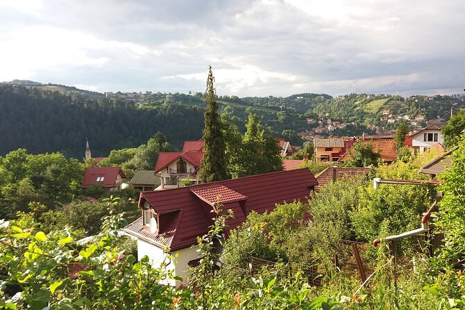 Hike&City Private Tour- Cultural Tour of Brasov Follow by Hiking Tampa Mountain - Pricing and Reviews
