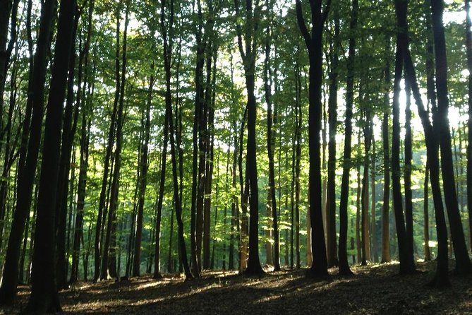 Hiking Tour in the Small Carpathians - in the Track of Forest People - Cancellation Policy Details
