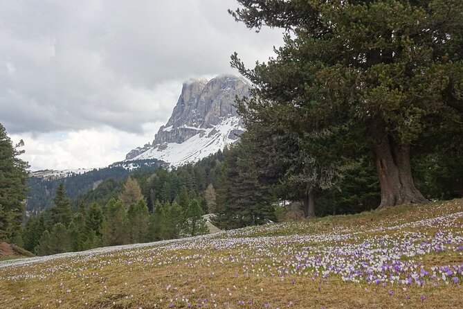 Hiking Tour in the World Natural Heritage Unesco Dolomites - Safety Precautions