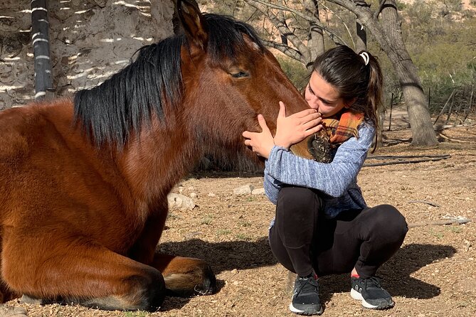 Horseback Expedition to the Andes, 2 Days. Sleep in the Heart of the Mountain. - Logistics and Requirements
