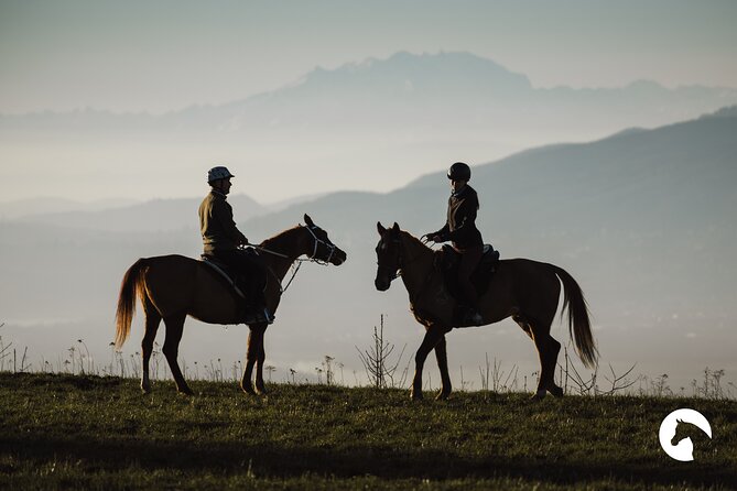 Horseback Riding for Experts Between the Lake and the Mountains - Cancellation Policy Details