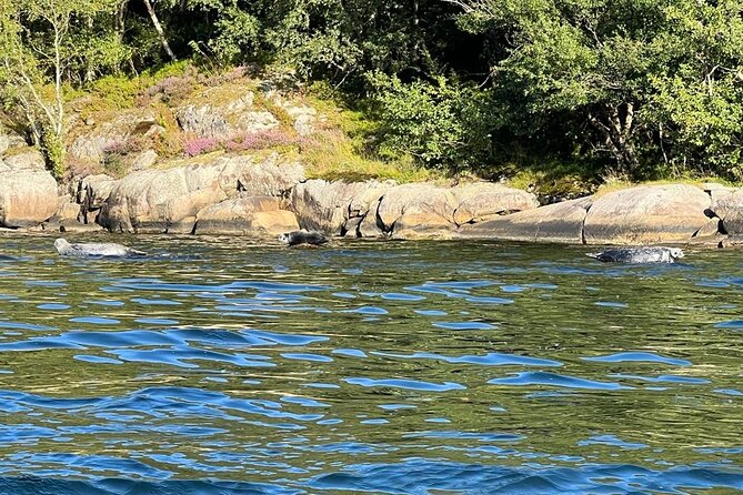 Inshore Fishing in the Drangefjord - Boat and Additional Information