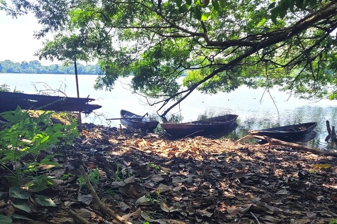 Iquitos (Perú): 3 Days Amazon Lodge By: Canopy Tours Iquitos - Important Notes for Travelers