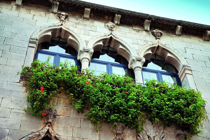 Istria in 1 Day Tour (from Rovinj) - Reviews