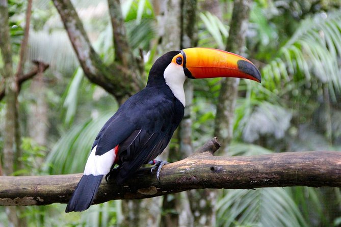 Jungle Fly: Adventure at the Jungle in Iguazu - Inclusions