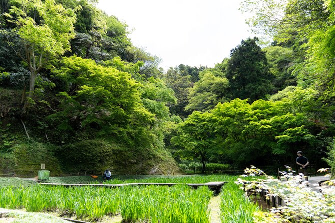 Kamakura Temples and Enoshima Private Tour - Price