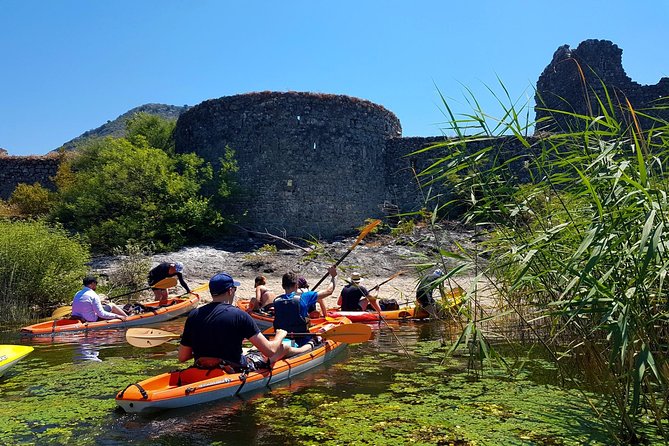 Kayak Guided Tour Skadar Lake - Adventure in National Park - What to Expect
