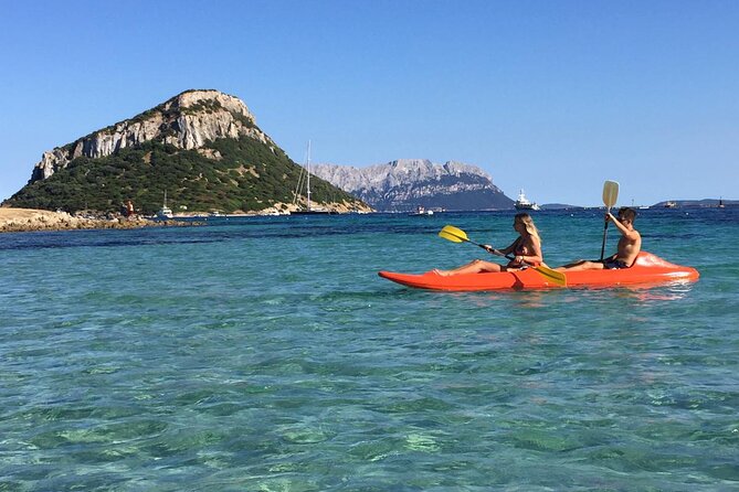 Kayak Tour With Aperitif and Dolphins - Itinerary Overview