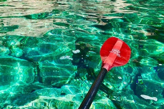 KoločEp Island: Guided Kayak, Swim & Snorkle Day Tour - Pricing and Booking Details