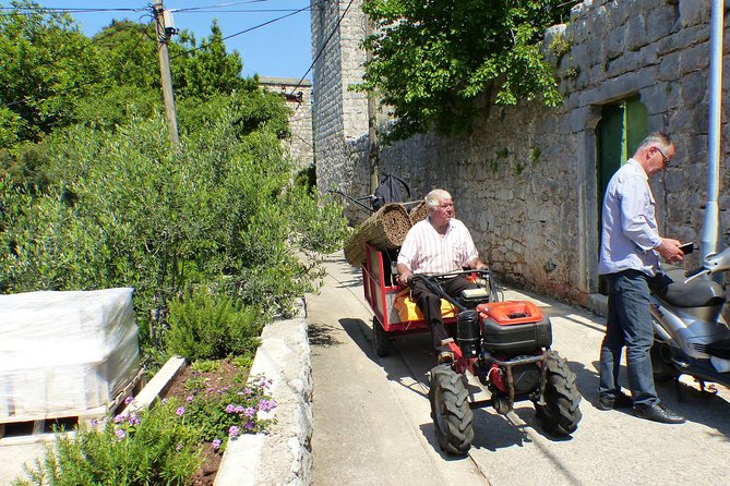 Kolocep Island Hiking and Swimming Full Day Trip From Dubrovnik - Reviews