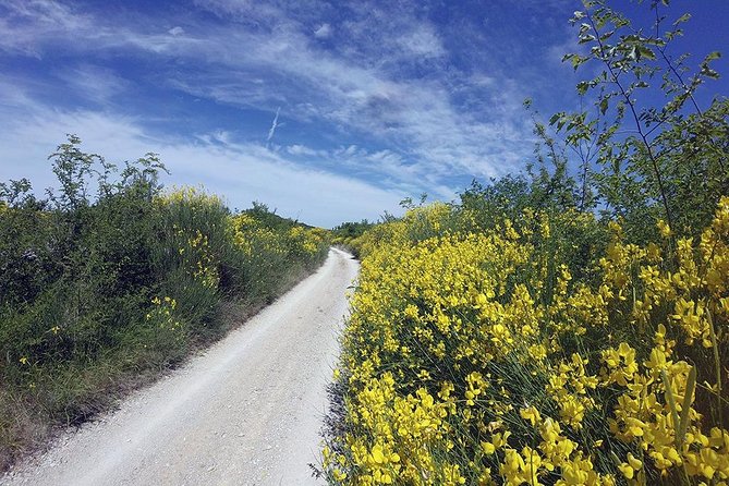 Krka Nationa Park by Electric Bike - Cancellation Policy