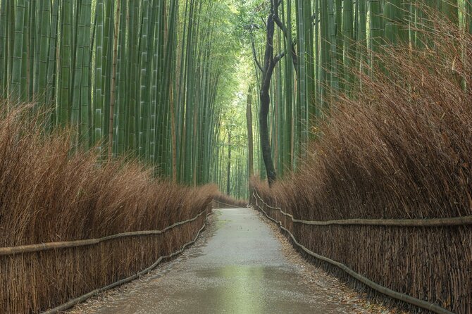 Kyoto Top Must-See Golden Pavilion and Bamboo Forest Half-Day Private Tour - Reviews