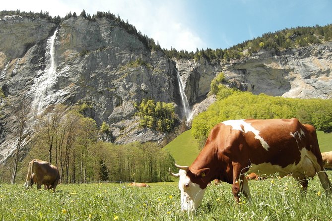 Lauterbrunnen Valley Waterfalls E-Bike Tour With Swiss Picnic - Itinerary