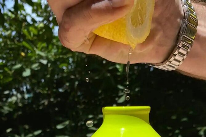 Lemon Experience in a Sorrento Farm With Harvesting and Tasting - Directions