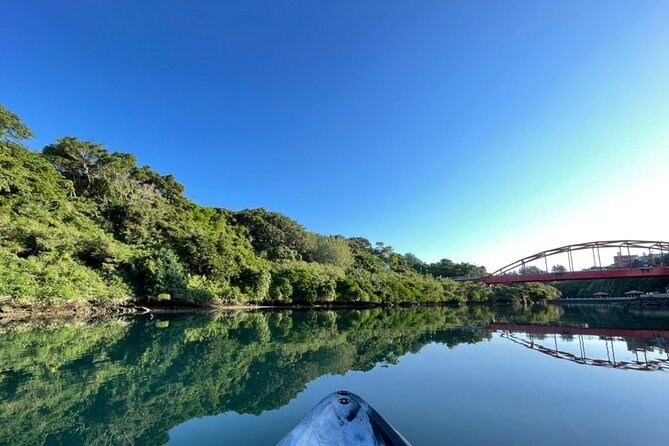 Mangrove SUP in Okinawa - The Sum Up