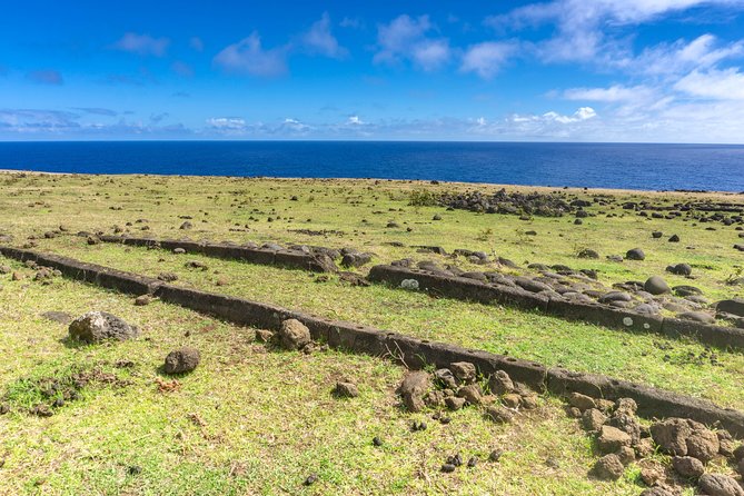 Miru: The North Coast Full Day Hike - Requirements and Recommendations