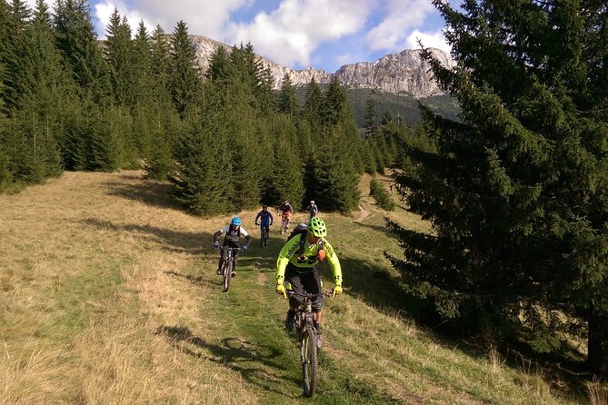 Mountain Bike Day Tour Around Brasov - Reviews and Feedback