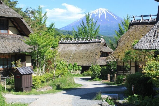 Mt. Fuji Private Tour From Tokyo With English Guide - Pricing and Guarantee