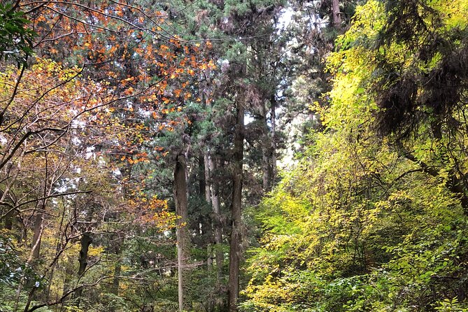 Mt. Takao Hiking Tour With Licensed Guide - Frequently Asked Questions