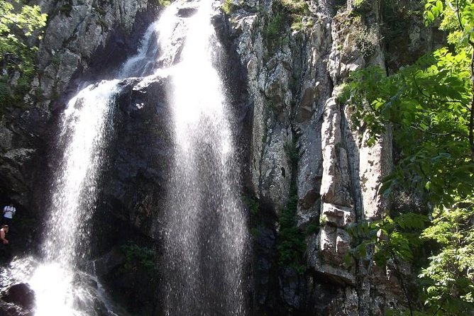 Mt. Vitosha and Boyana Waterfall Hiking Tour From Sofia - Customer Reviews