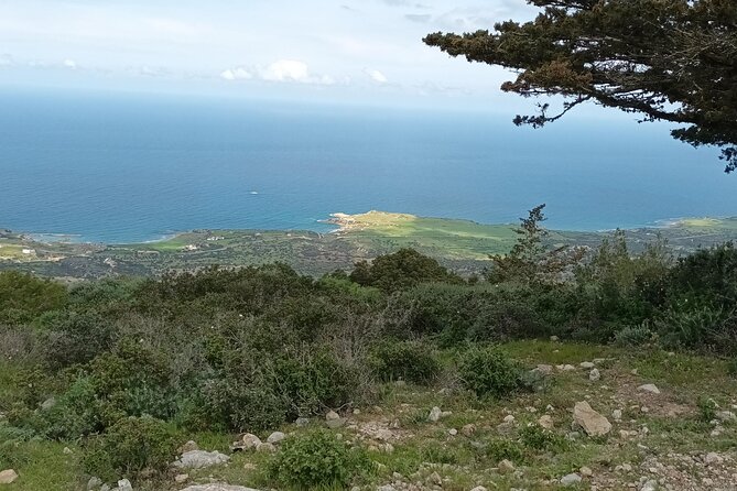 Nature Walking Tour in the Mediterranean Cyprus-8days - Accommodation Information