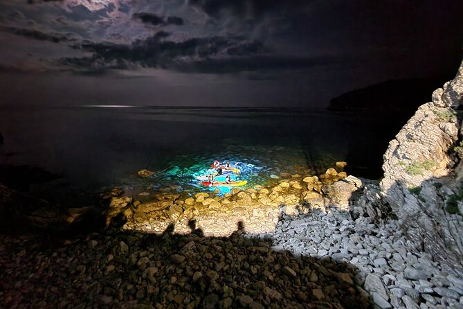 Night Lights Kayak Adventure - Reviews and Testimonials