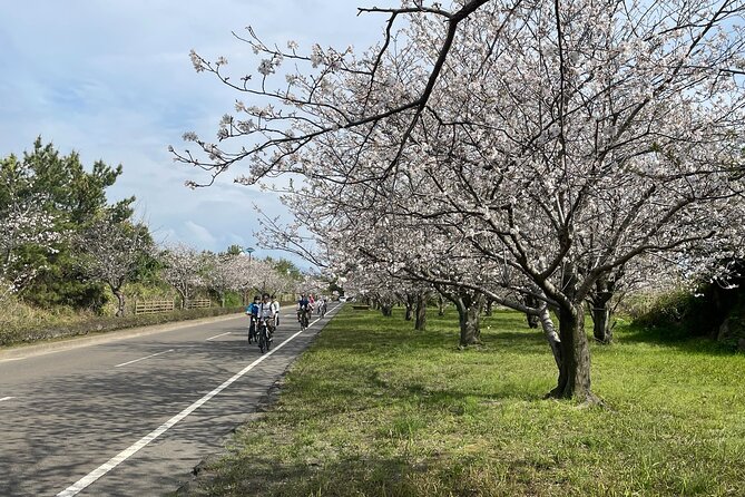 One Day E Bike Round Tour in Sakurajima - Group Size Limitation