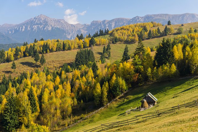 One Day Tour to Bran Castle and Hiking in Piatra Craiului National Park - Cancellation Policy and Pricing