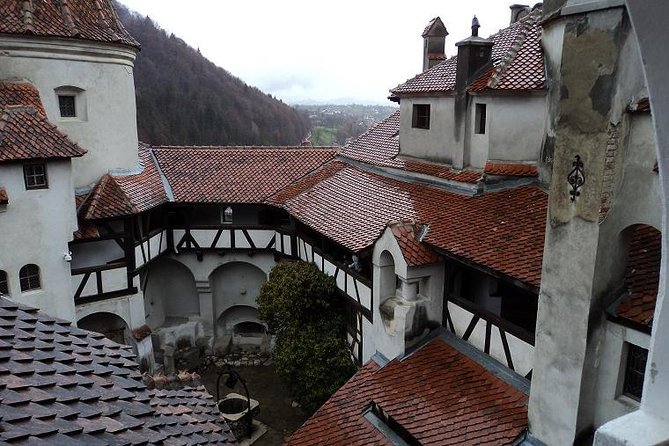 One Day Trip Bear Sanctuary, Dracula Castle, Rasnov Fortress From Brasov - Rasnov Fortress Views