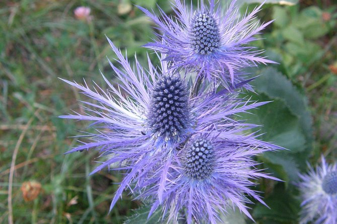 Paklenica National Park Admission Ticket - Features