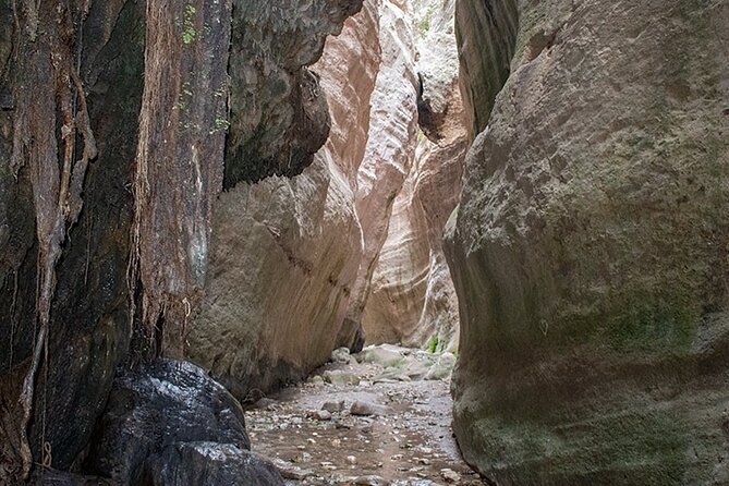 Paphos: Half Day Akamas Jeep Safari (Private) - Private Tour Details