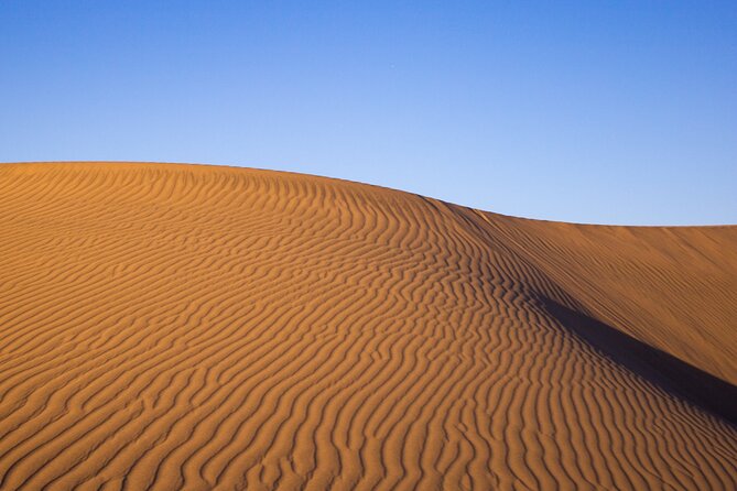 Paracas, Ica and Huacachina Day Trip From Lima | Mini-Galapagos - Location and Logistics