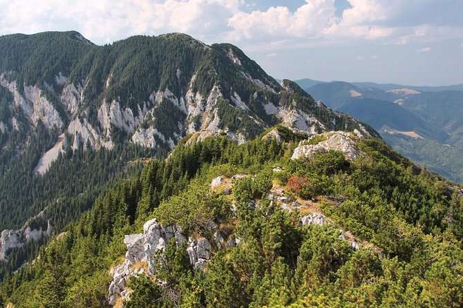 Piatra Craiului National Park Private Hiking Tour From Brasov - Tour Details