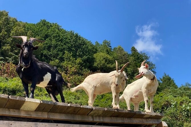 Private 2 Days Tour in Okayama - Cancellation Policy