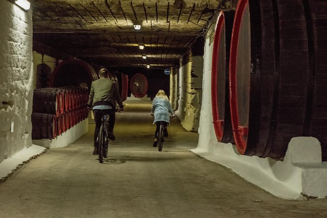 Private Bike Tour to Cricova Winery With Wine Tasting and Lunch - Customer Reviews