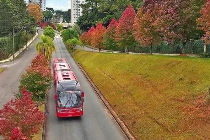Private City Tour - Top Postcards From Curitiba by Pinheiro Turismo - Price Details
