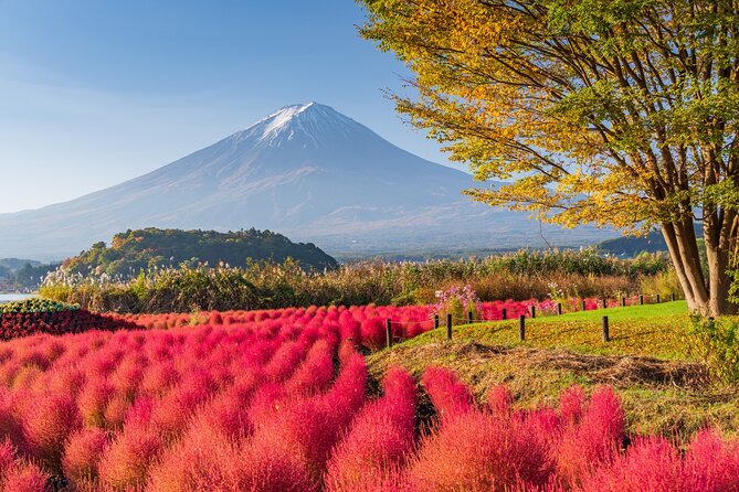 Private Day Tour From Tokyo: Customized Mount Fuji Highlights - Pickup Details and Additional Info