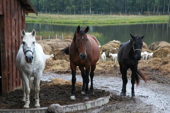 Private Day Tour From Vilnius to Goat Cheese Farm and Kernave Historical Capital - Group Size