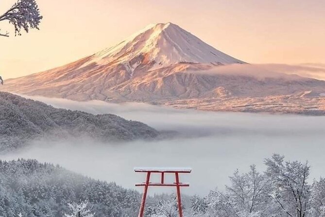 Private Day Tour in Mount Fuji From Tokyo - Additional Details